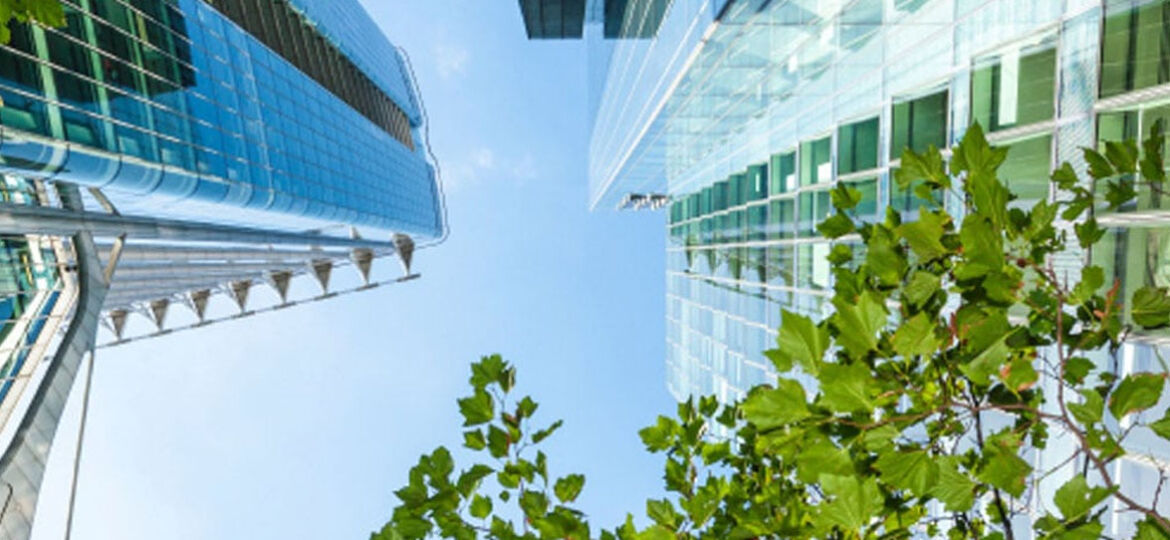 Report shows green, low energy offices offer key health and productivity benefits