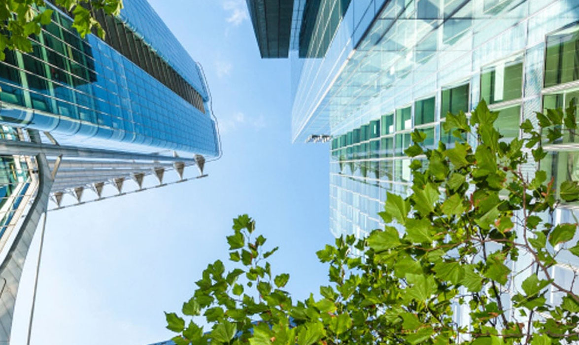 Report shows green, low energy offices offer key health and productivity benefits