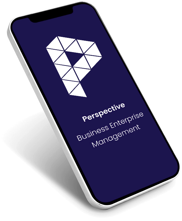 Perspective - Business Enterprise Management System